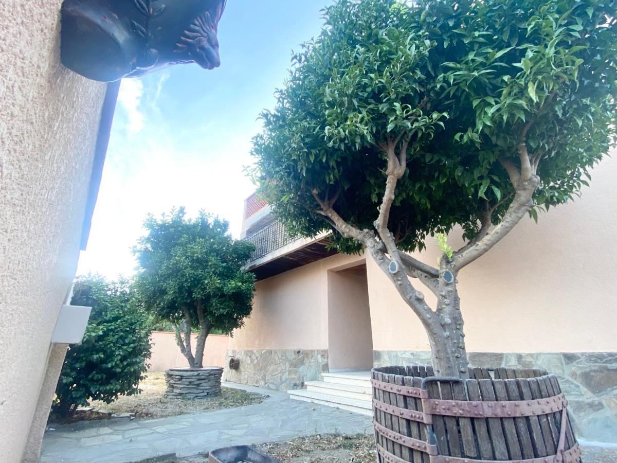 L'Artmonie - Climatise - Jardin - Centre-Ville - Plage Perpignan Exteriör bild